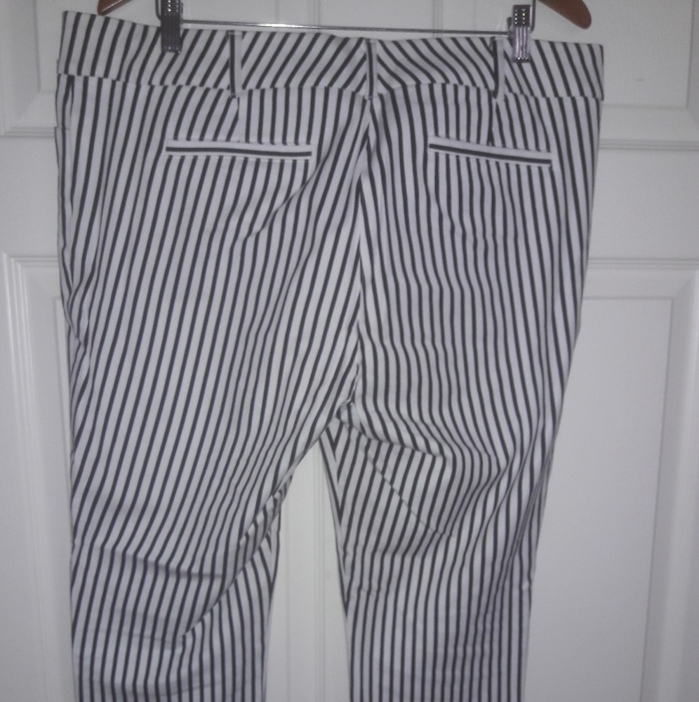 NEW STRIPED DRESS PANTS